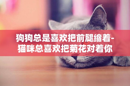 狗狗總是喜歡把前腿縮著-貓咪總喜歡把菊花對著你