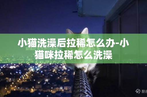 小貓洗澡后拉稀怎么辦-小貓咪拉稀怎么洗澡