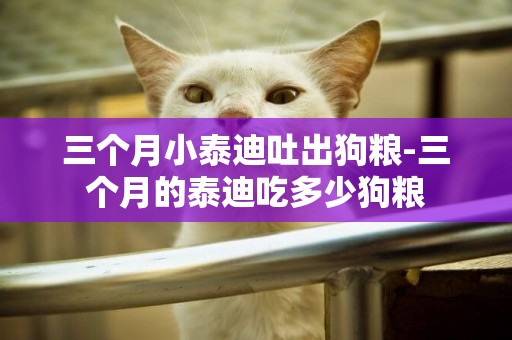 三個月小泰迪吐出狗糧-三個月的泰迪吃多少狗糧