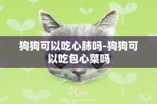 狗狗可以吃心肺嗎-狗狗可以吃包心菜嗎