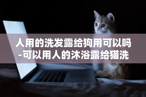人用的洗發露給狗用可以嗎-可以用人的沐浴露給貓洗澡嗎