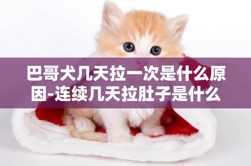 巴哥犬幾天拉一次是什么原因-連續幾天拉肚子是什么原因