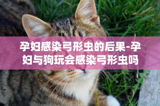 孕婦感染弓形蟲的后果-孕婦與狗玩會感染弓形蟲嗎