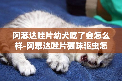 阿苯達唑片幼犬吃了會怎么樣-阿苯達唑片貓咪驅蟲怎么吃