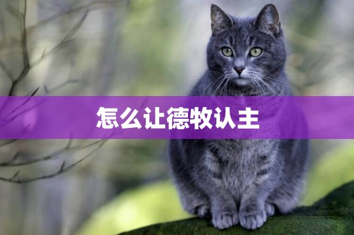 怎么讓德牧認主