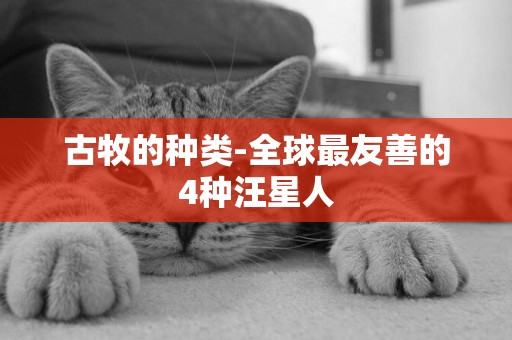 古牧的種類-全球最友善的4種汪星人