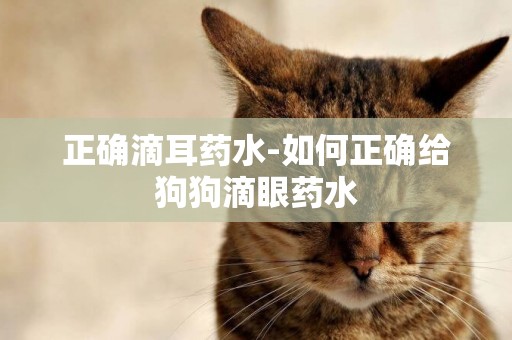 正確滴耳藥水-如何正確給狗狗滴眼藥水