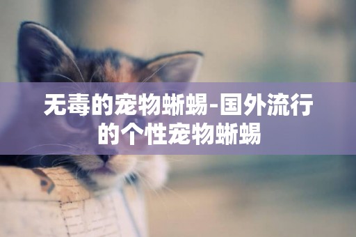無毒的寵物蜥蜴-國外流行的個性寵物蜥蜴