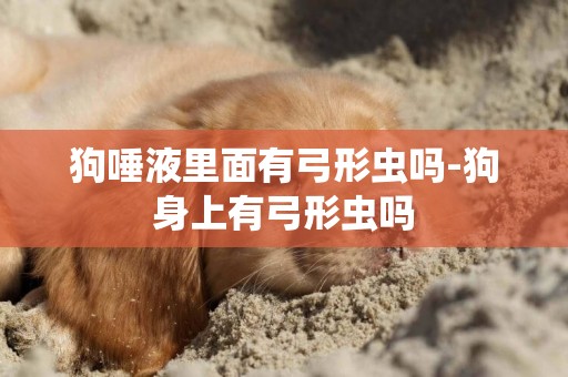 狗唾液里面有弓形蟲嗎-狗身上有弓形蟲嗎