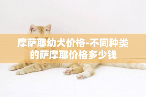 摩薩耶幼犬價格-不同種類的薩摩耶價格多少錢