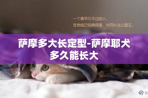 薩摩多大長定型-薩摩耶犬多久能長大