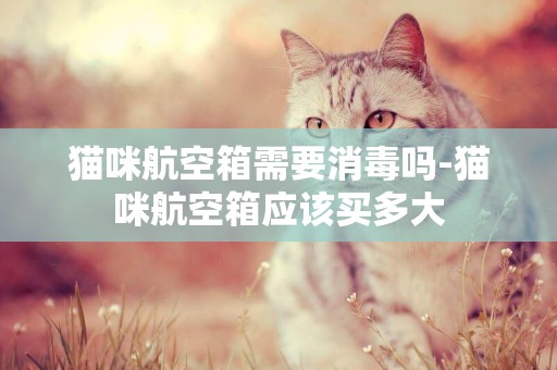 貓咪航空箱需要消毒嗎-貓咪航空箱應該買多大
