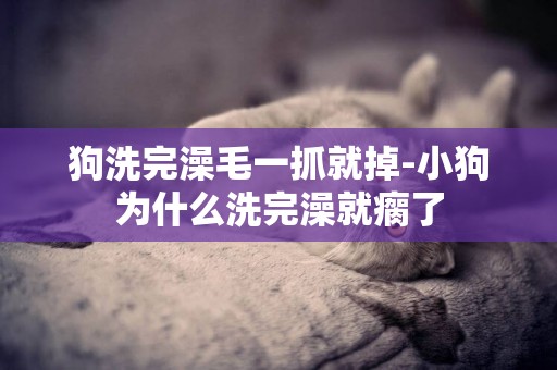 狗洗完澡毛一抓就掉-小狗為什么洗完澡就瘸了