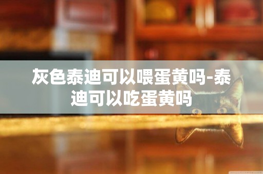 灰色泰迪可以喂蛋黃嗎-泰迪可以吃蛋黃嗎