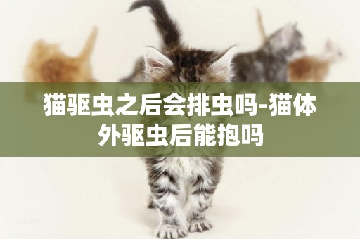 貓驅蟲之后會排蟲嗎-貓體外驅蟲后能抱嗎