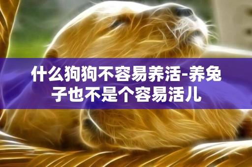 什么狗狗不容易養活-養兔子也不是個容易活兒
