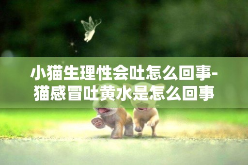 小貓生理性會吐怎么回事-貓感冒吐黃水是怎么回事