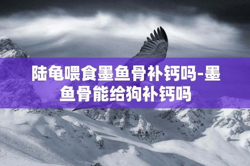 陸龜喂食墨魚骨補鈣嗎-墨魚骨能給狗補鈣嗎