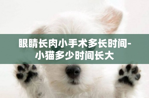 眼睛長肉小手術多長時間-小貓多少時間長大