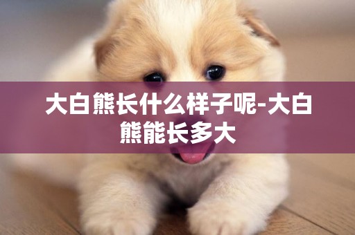 大白熊長什么樣子呢-大白熊能長多大