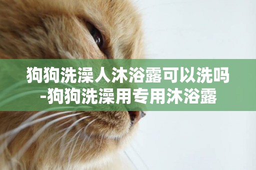 狗狗洗澡人沐浴露可以洗嗎-狗狗洗澡用專用沐浴露