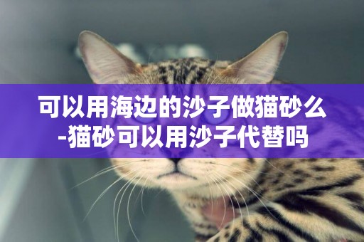 可以用海邊的沙子做貓砂么-貓砂可以用沙子代替嗎