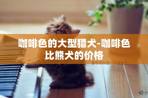 咖啡色的大型獵犬-咖啡色比熊犬的價格