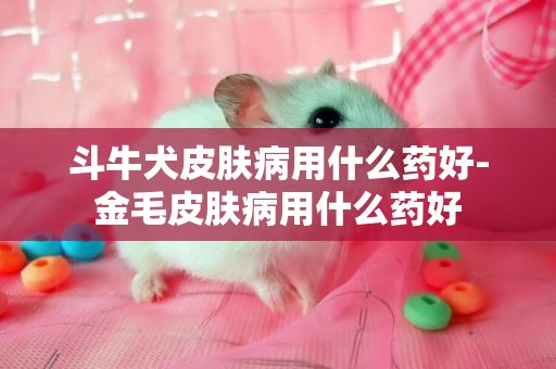 斗牛犬皮膚病用什么藥好-金毛皮膚病用什么藥好