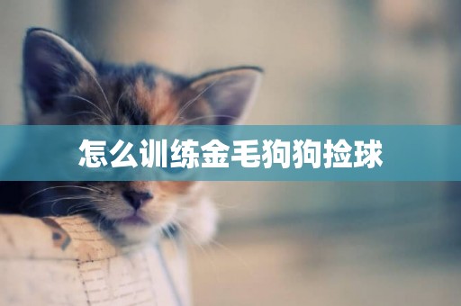 怎么訓練金毛狗狗撿球