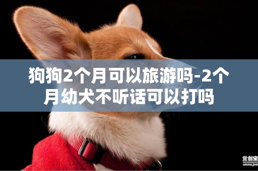 狗狗2個月可以旅游嗎-2個月幼犬不聽話可以打嗎