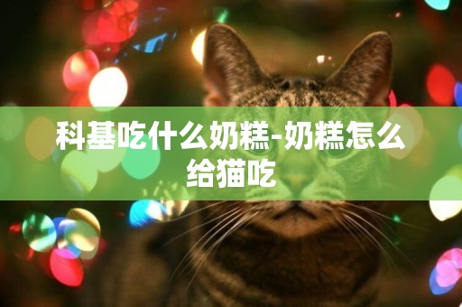 科基吃什么奶糕-奶糕怎么給貓吃