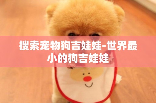 搜索寵物狗吉娃娃-世界最小的狗吉娃娃