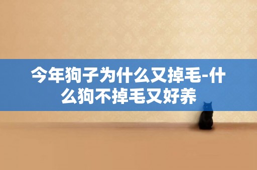 今年狗子為什么又掉毛-什么狗不掉毛又好養