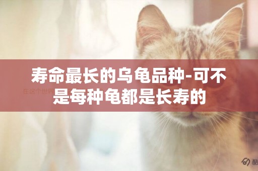 壽命最長的烏龜品種-可不是每種龜都是長壽的
