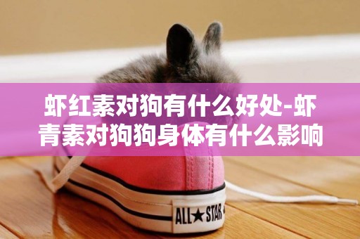 蝦紅素對狗有什么好處-蝦青素對狗狗身體有什么影響