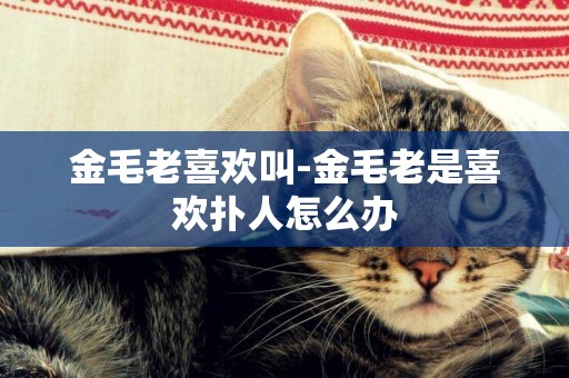 金毛老喜歡叫-金毛老是喜歡撲人怎么辦