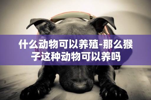 什么動物可以養殖-那么猴子這種動物可以養嗎