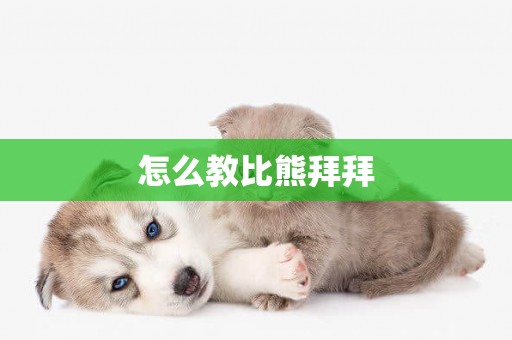 怎么教比熊拜拜