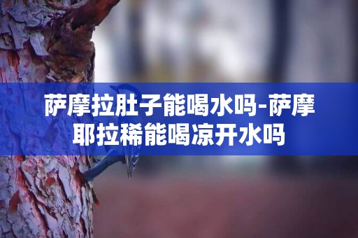 薩摩拉肚子能喝水嗎-薩摩耶拉稀能喝涼開水嗎