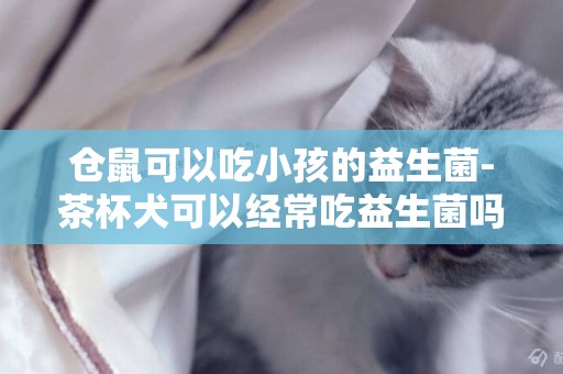 倉鼠可以吃小孩的益生菌-茶杯犬可以經常吃益生菌嗎