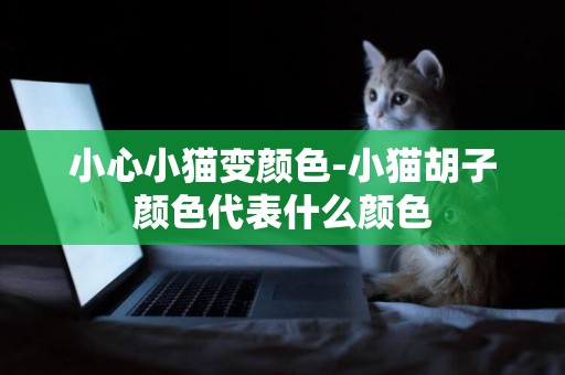 小心小貓變顏色-小貓胡子顏色代表什么顏色