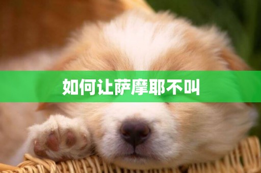 如何讓薩摩耶不叫