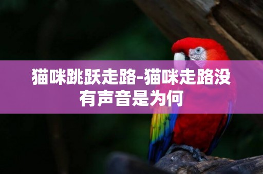 貓咪跳躍走路-貓咪走路沒有聲音是為何