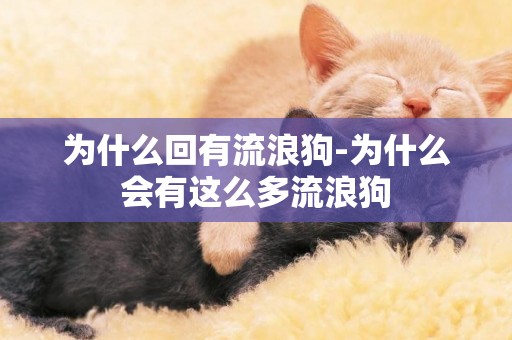 為什么回有流浪狗-為什么會有這么多流浪狗
