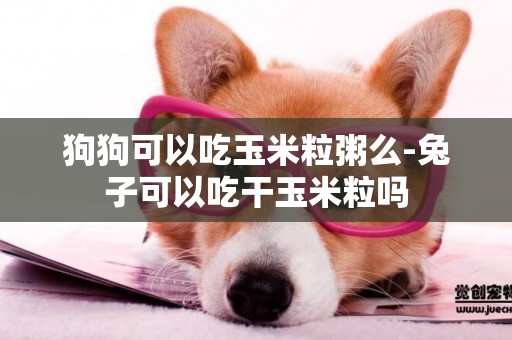 狗狗可以吃玉米粒粥么-兔子可以吃干玉米粒嗎