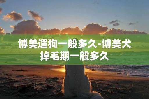博美遛狗一般多久-博美犬掉毛期一般多久