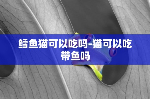 鱈魚貓可以吃嗎-貓可以吃帶魚嗎