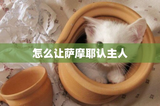怎么讓薩摩耶認主人