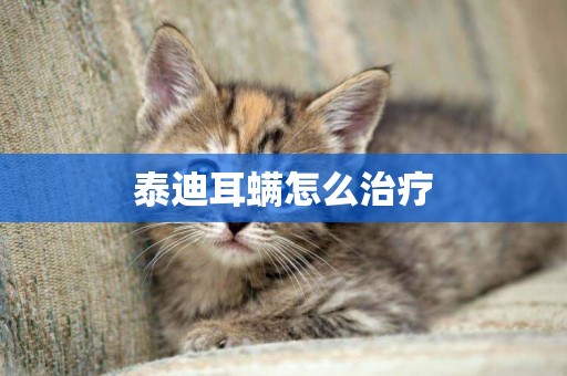 泰迪耳螨怎么治療
