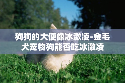 狗狗的大便像冰激凌-金毛犬寵物狗能否吃冰激凌
